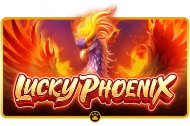 bet7k casino